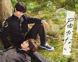 深圳网站seo优化在线咨询